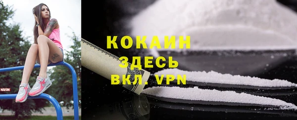 мдпв Волоколамск