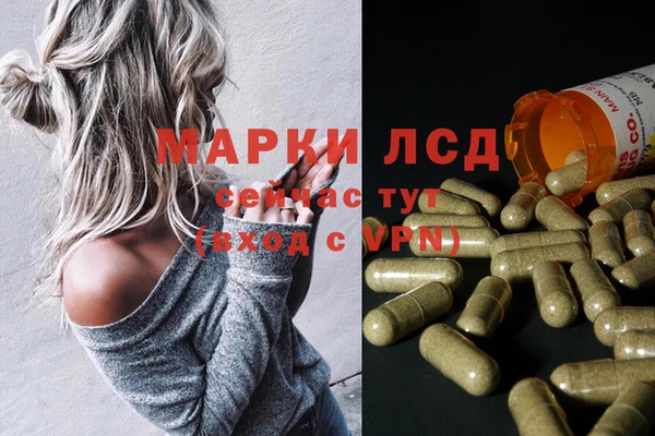мдпв Волоколамск